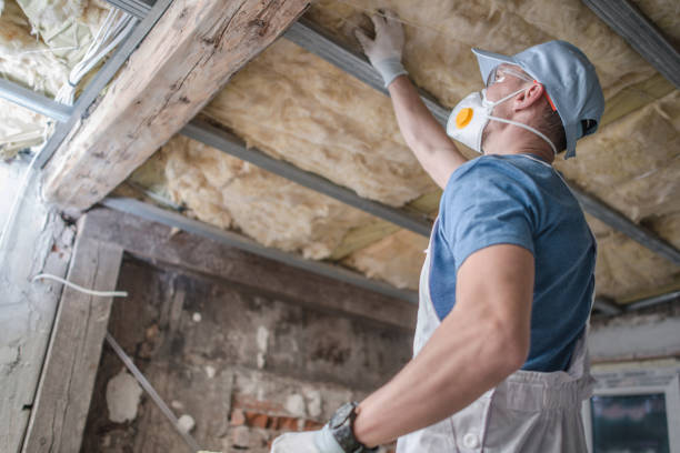 Best Commercial Insulation Services  in Timonium, MD