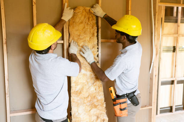 Types of Insulation We Offer in Timonium, MD