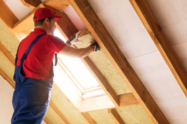 Timonium, MD Insulation Installation & Removal Company